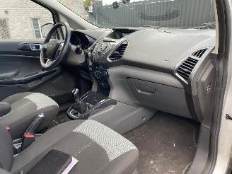 Ford EcoSport 1.0 picture 22