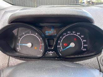 Ford EcoSport 1.0 picture 25