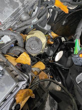 Toyota Proace 2.0 D picture 8