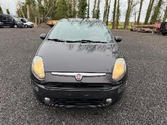 Fiat Punto EVO picture 6