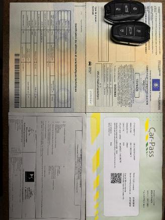 DS Automobiles DS 7 Crossback CROSSBACK SO CHI picture 34