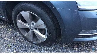 Skoda Octavia STYLE picture 2