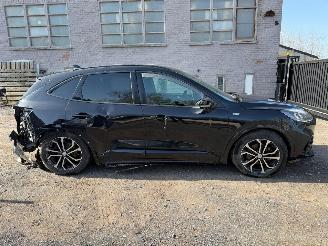 Ford Kuga ST-LINE X picture 1