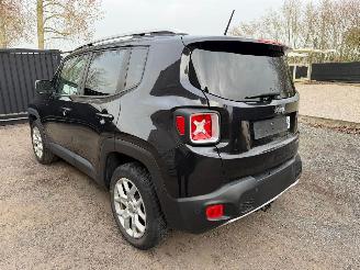 Jeep Renegade LIMITED picture 11