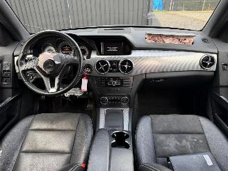 Mercedes Glk-klasse 220 CDI BLUEEFFI picture 26