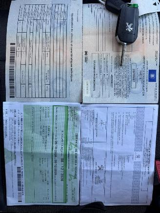 Peugeot Expert IV PREMIUM picture 30