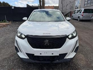 Peugeot 2008 II ACTIVE picture 6