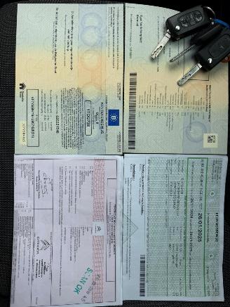 Citroën Berlingo 1.6 HDI picture 30