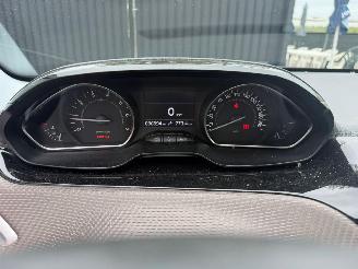 Peugeot 2008 ACTIVE picture 27