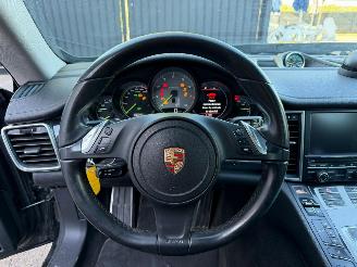 Porsche Panamera S E-HYBRID picture 27