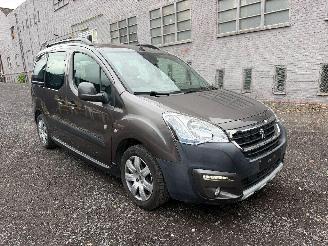 Peugeot Partner TEPEE picture 2