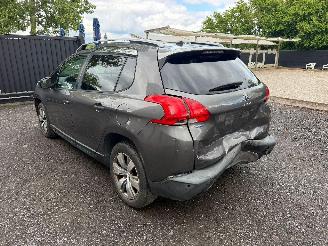 Peugeot 2008 ACCESS picture 11