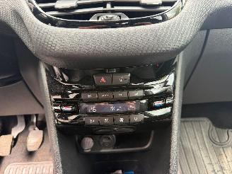 Peugeot 2008 ACCESS picture 29