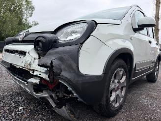 Fiat Panda CROSS picture 11