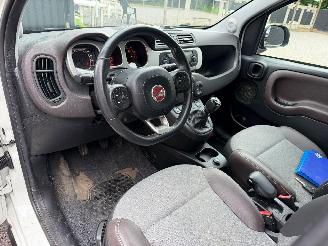 Fiat Panda CROSS picture 23