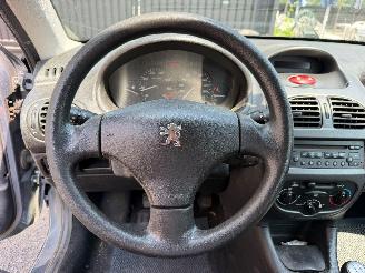 Peugeot 206 1.4 I picture 22