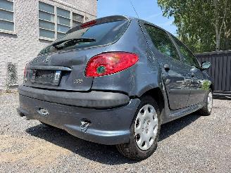 Peugeot 206 1.4 I picture 13