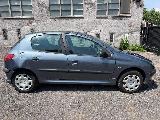 skadebil auto Peugeot 206 1.4 I 2007/9