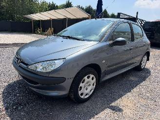 Peugeot 206 1.4 I picture 7