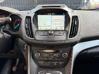 Ford Kuga BUSINESS picture 26