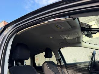 Ford Kuga BUSINESS picture 19