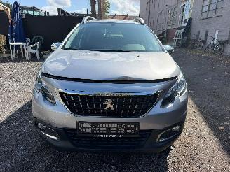 Peugeot 2008 ACCESS picture 6