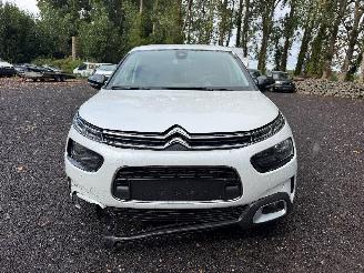 Citroën C4 cactus CACTUS FLAIR picture 7