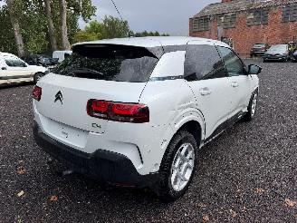 Citroën C4 cactus CACTUS FLAIR picture 18