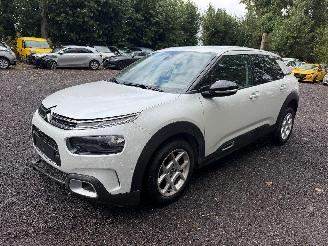 Citroën C4 cactus CACTUS FLAIR picture 10