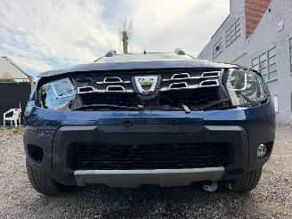 Dacia Duster ANNIVERSARY picture 5