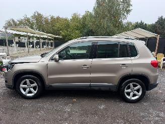 Volkswagen Tiguan 2.0 DTI picture 13
