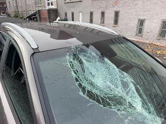 Hyundai I-30 TWIST picture 8