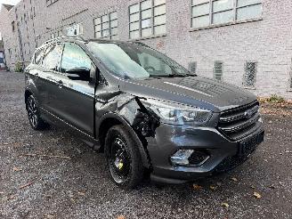 Ford Kuga ST-LINE picture 2