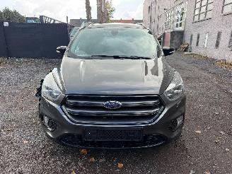 Ford Kuga ST-LINE picture 11