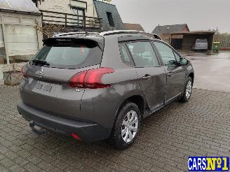 Peugeot 2008  picture 4
