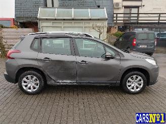 Peugeot 2008  picture 8