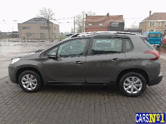 Peugeot 2008  picture 7