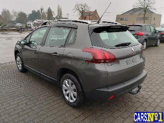 Peugeot 2008  picture 6