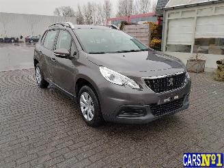 Peugeot 2008  picture 3