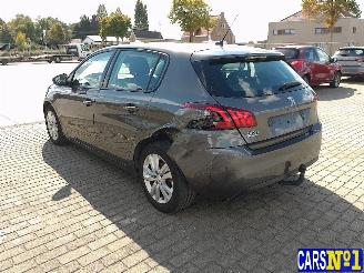 Peugeot 308  picture 6