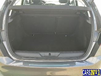 Peugeot 308  picture 20