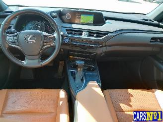 Lexus UX  picture 14