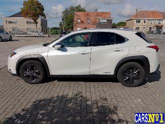 Lexus UX  picture 7