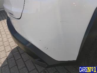 Lexus UX  picture 13