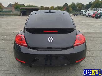 Volkswagen Beetle  picture 5