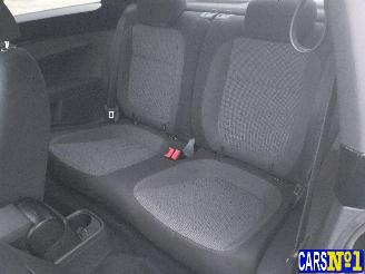 Volkswagen Beetle  picture 16
