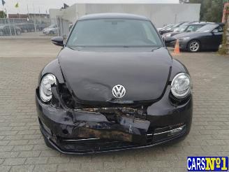 Volkswagen Beetle  picture 2
