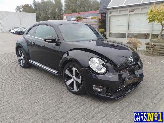 Volkswagen Beetle  picture 3