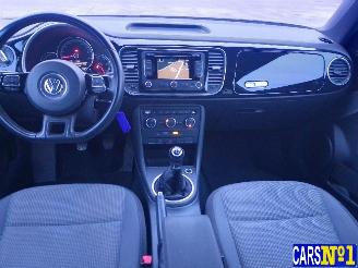 Volkswagen Beetle  picture 14
