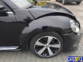 Volkswagen Beetle  picture 9